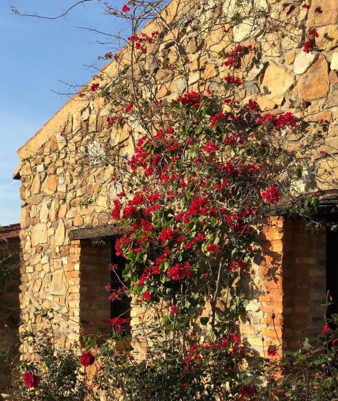Finca Los Caleros Juan Gallegos Ngoại thất bức ảnh