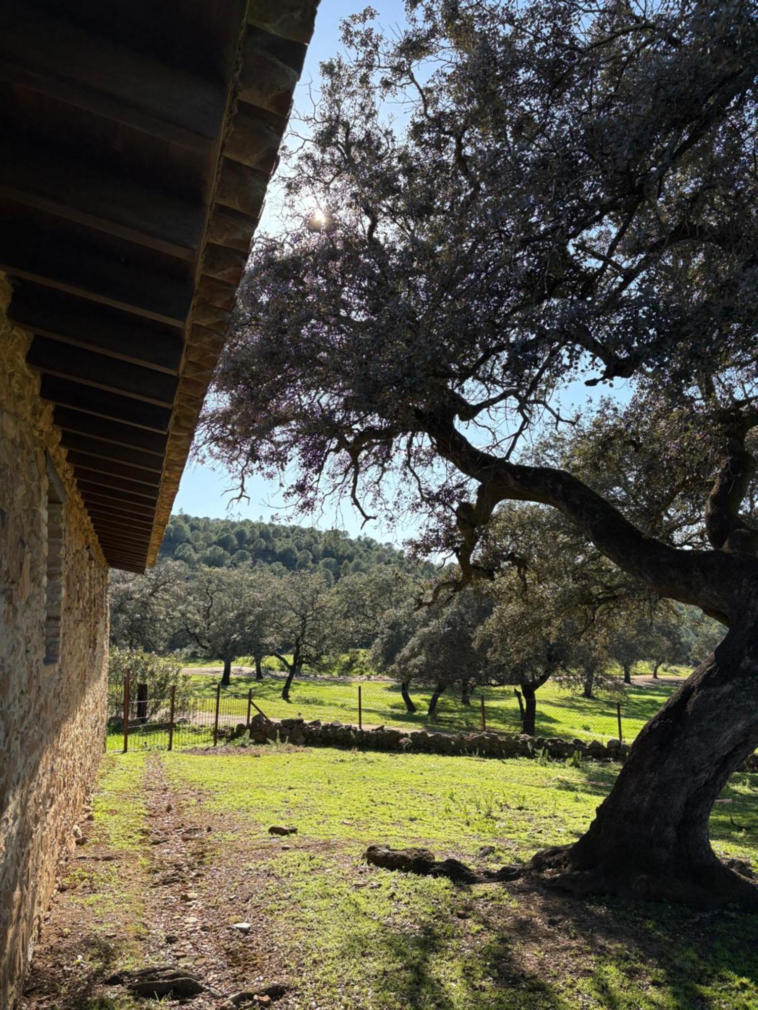 Finca Los Caleros Juan Gallegos Ngoại thất bức ảnh